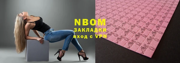 прущие грибы Беломорск