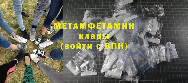 прущие грибы Беломорск