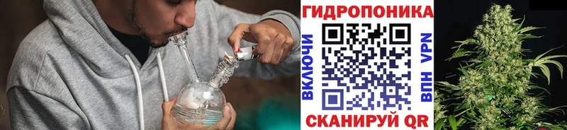 сайты даркнета наркотические препараты МЕГА зеркало Видное Конопля семена